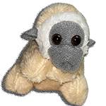 RPN MINI CLINGER WHITE HANDED GIBBON